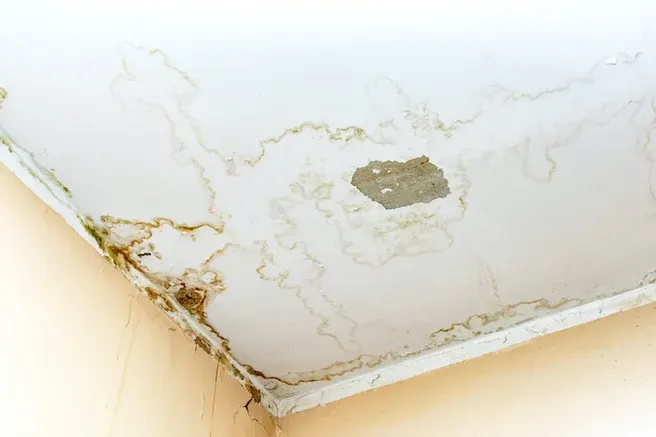 Ceiling Leak Water repair in chicago illinois- B&B Roofing and Exteriors