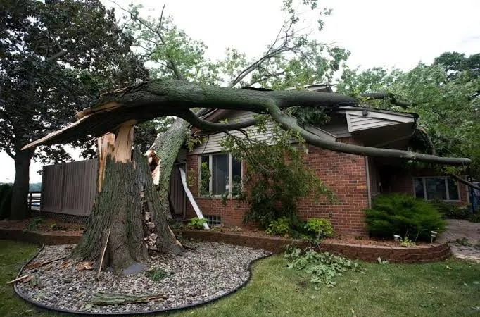 Fallen Tree limb repair B&B Roofing and Exteriors