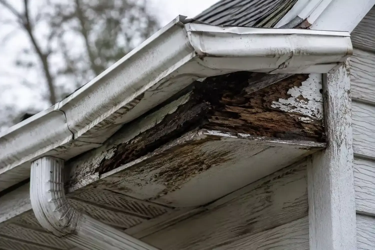 Gutter and Soffit damage - B&B Roofing and Exteriors