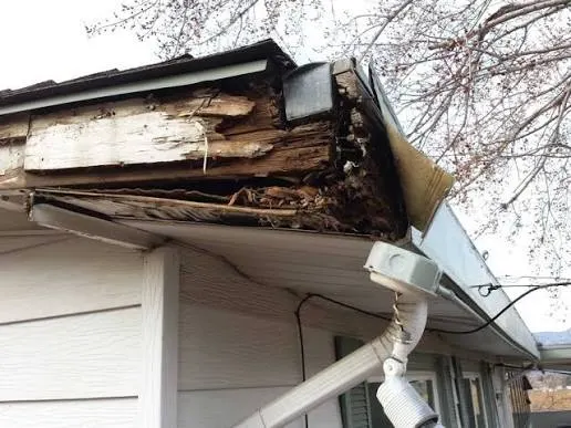 Peeling paint wood fascia repair - B&B Roofing and Exteriors