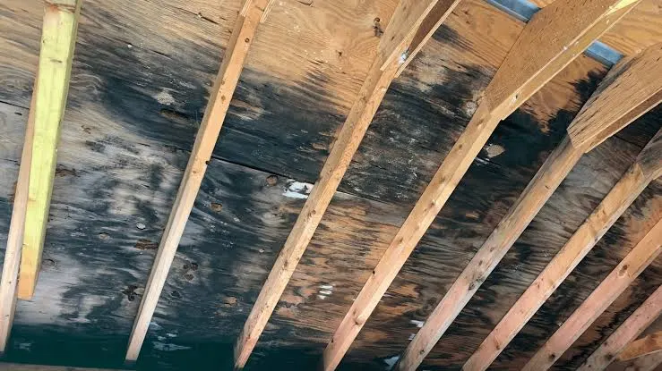 Prevent moisture buildup - B&B Roofing and Exteriors